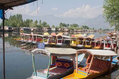 Kashmir Bursts Into Life After Four Months of Closure
