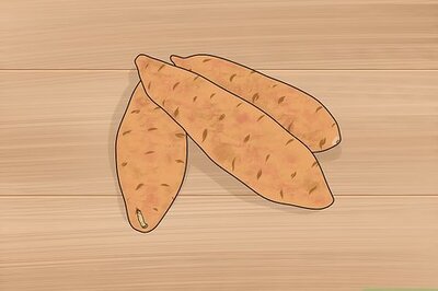 The Beginner’s Guide to Growing Sweet Potatoes in Containers