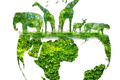 Happy World Environment Day 2022: Wishes, Status, Images, Quotes, Messages and WhatsApp Greetings to Share