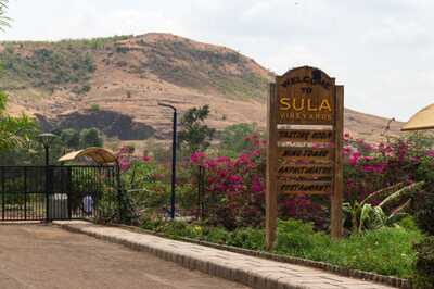 Sula Vineyards Falls 7% on Excise Duty Notice of Rs 116 Crore From Maharashtra Govt