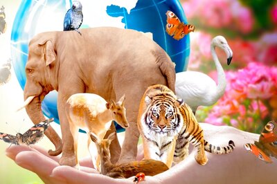 International Day for Biological Diversity 2022: Theme, History, Significance and Inspirational Quotes