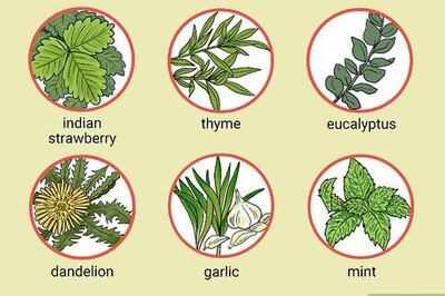 How to Create a Poultice