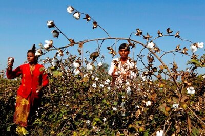 Smart Agriculture: Bt Cotton, a cash crop that can change the life of farmers