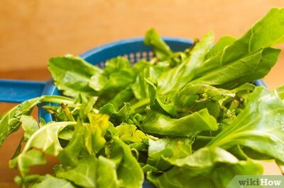 How to Freeze Swiss Chard