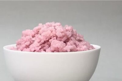 Scientists Grow Meat Rice as Eco-Friendly Source of Protein. Is Scalability of Sustainable Foods Possible?