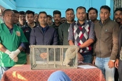 Trinamool Congress Leader Arrested for Attempting Pangolin Smuggling