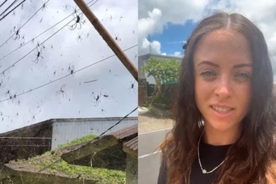 Watch: Tourist Encounters Massive Spider Colony In Bali; Internet Can't Believe Its Eyes