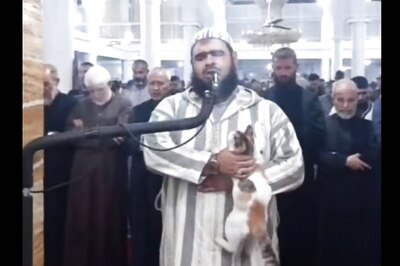 Cat Climbing On Imam’s Shoulders During Ramadan Prayers Is Cutest Interruption Ever