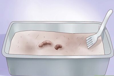 How to Remove Oil Stains from Concrete Driveway and Garage