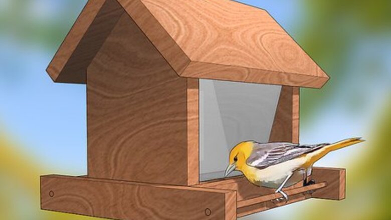 How to Get Rid of Gypsy Moths