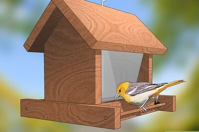 How to Get Rid of Gypsy Moths