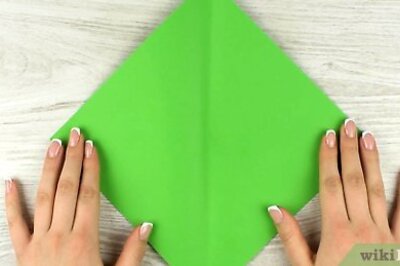 How to Fold an Origami Parrot