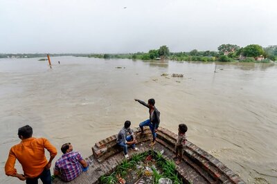 Study Shows Yamuna's Stretch Near Delhi's Wazirabad Barrage Unsuitable for Aquatic Life