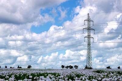 Opinion | Analysing Drug Dimension in the Manipur Imbroglio