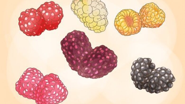 How to Grow Raspberries