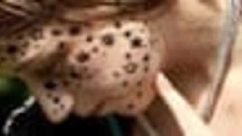 Tattoo gone wrong: Stars and gripes forever?