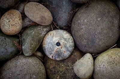 This Sustainable Device Looks Like a Pebble, Works Like a Phone