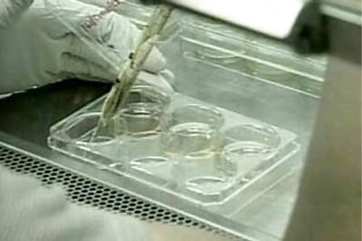 Americans flocking to India for stem cell therapy