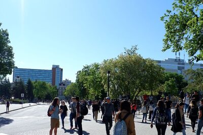 Of 403 Indian Student Deaths Abroad Since 2018, 91 were from Canada, 48 from UK, Rajya Sabha Told