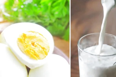 Milk Vs Egg: What's Better For Health? Know Nutritional Value And More