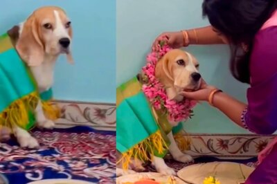 Desi Woman Performs Baby Shower for Her Dog With Garland, 'Tilak' in Adorable Video