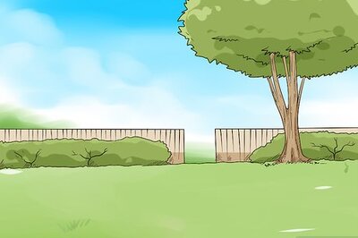 How to Build Natural Swimming Pools