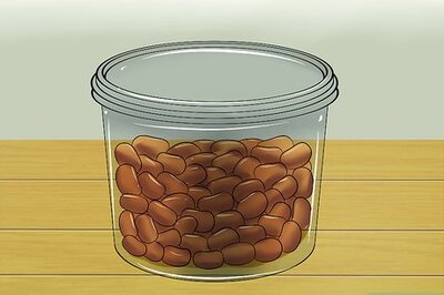 How to Keep Ants Out of Pet Food