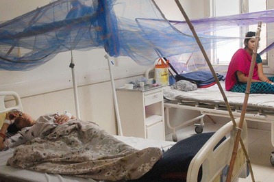 Record Rise in Dengue Cases in Kolkata with 2,800 Infections So Far