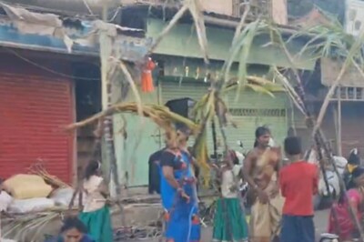 Mumbai's Dharavi Celebrates Pongal In Traditional Way; Videos Inside