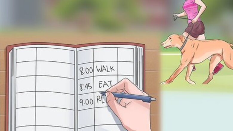 How to Exercise a Rhodesian Ridgeback