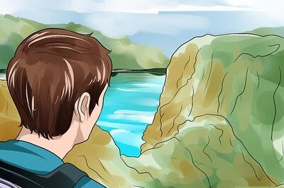 How to Test for Lyme Disease