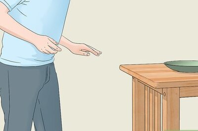 How to Catch a Fly With Your Hands