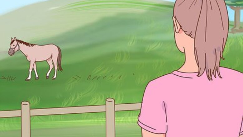 How to Overcome Your Fear of Horses