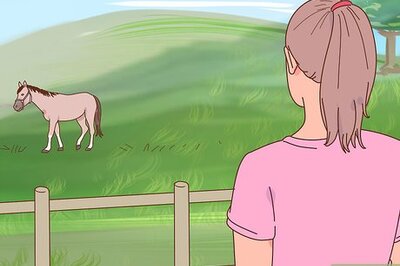 How to Overcome Your Fear of Horses