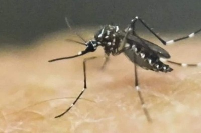 Karnataka Reports its First Zika Virus Case as 5-Year-Old Tests Positive