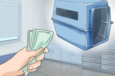 How to Train Bulldogs