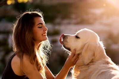 Want To Dine With Your Dog? Essential Tips For A Paw-sitive Experience