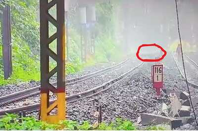 Can You Spot It? 'Leopard' Zooms Past Lonavala Tracks Amid Fog. Some Think It's Tiger | WATCH Video