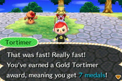 How to Use a Wetsuit in Animal Crossing: New Leaf