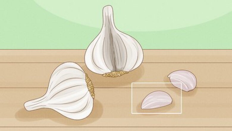 How to Regrow Garlic