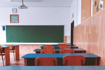 Mumbai School Principal Allegedly Asked to Resign Over Posts on Hamas-Israel Conflict: Report