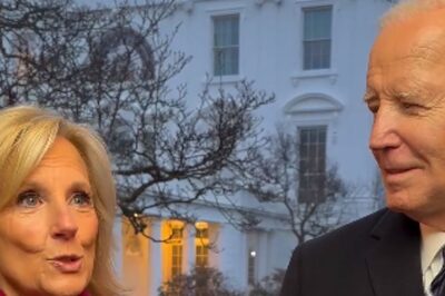 When US President Joe Biden Asked Jill Biden Five Times Before She Said Yes To Marrying Him