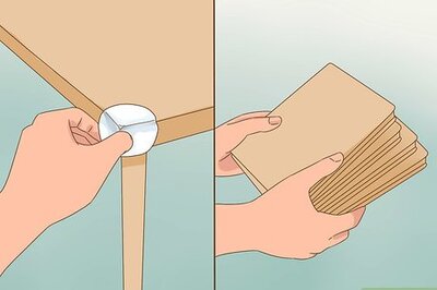 How to Care for a Dog Blind from Birth