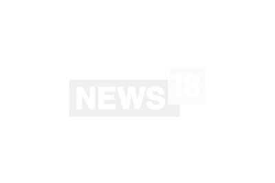 Tigress Avni Was Shot Dead After She Attacked Forest Staff: Maharashtra Forest Minister