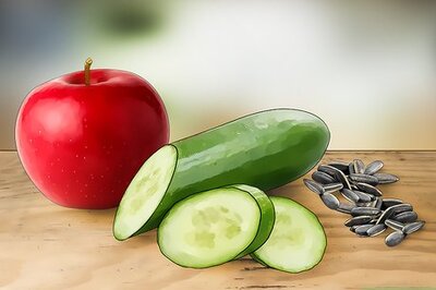 What Do Snails Eat? A Guide to Feeding Snails