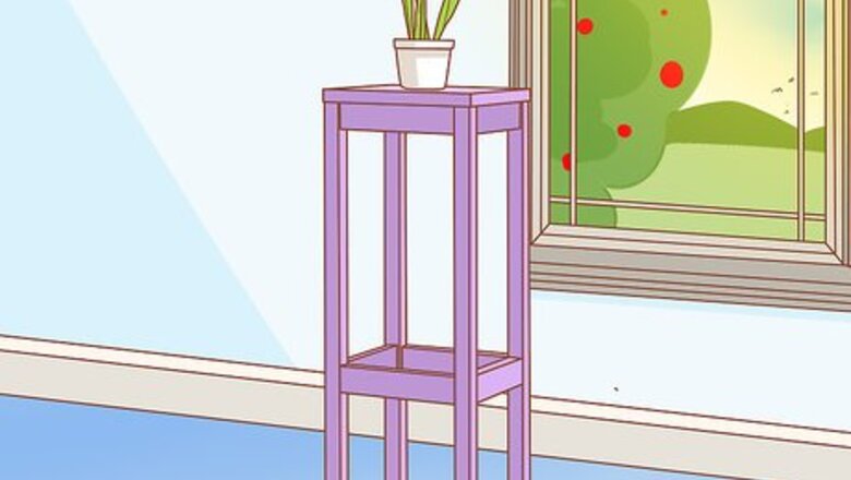 How to Protect Your Houseplants from Pets