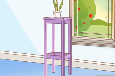 How to Protect Your Houseplants from Pets