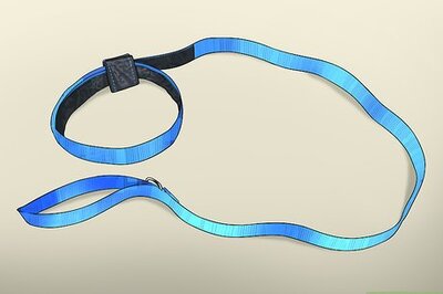 How to Get the Right Stuff for Your New Puppy