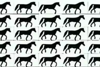 Optical Illusion: Spot The Horse With A Missing Tail In 5 Seconds