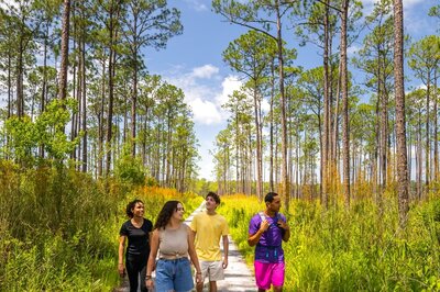 Southern Charm and Bayou Magic: A Quick Guide to Louisiana's 13 Regions